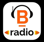 Logo de BENAVIDES  RADIO