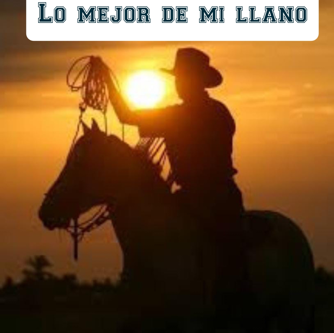 Logo de Lo mejor de mi llano
